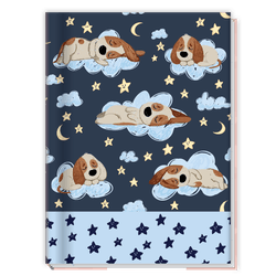 CADERNO-BROCH-UNIV-CD-80F-FEMININO-357705-CREDEAL-19211175