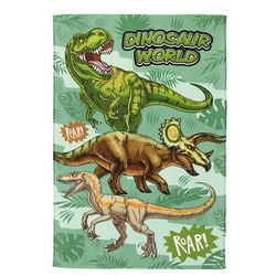 Toalha-de-Banho-Infantil-Felpuda-Dino-70X115CM---DOHLER-19248443