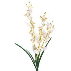 BUQUE-ORQUIDEA-CHUVA-OURO-X36-50CM-50732BR-BELA-FLOR-19259655