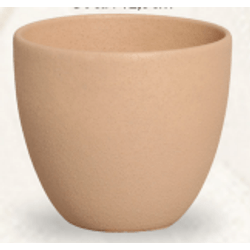 Cachepot-de-Ceramica-Flower-Text-Capuccino-Fosco-13X13X125CM---SARA-19259280