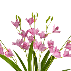 BUQUE-ORQUIDEA-CYMBIDIUM-X5-ROSA-55CM-43054RS-BELA-FLOR-19265455