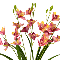 BUQUE-ORQUIDEA-CYMBIDIUM-X5-LARANJA-55CM-43054LJ-BELA-FLOR-19265456