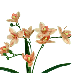 BUQUE-ORQUIDEA-CYMBIDIUM-X3-SALMAO-45CM-41806SL-BELA-FLOR-19265465