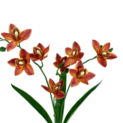 BUQUE-ORQUIDEA-CYMBIDIUM-X3-LARANJA-45CM-41806LJ-BELA-FLOR-19265467