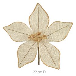 Flor-Natal-Rustico-Champanhe-22CM---DEA-19265272