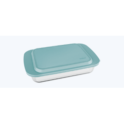 LASANHEIRA--RETANGULAR-TP-ROSA-37L-19140-MARINEX-19266599
