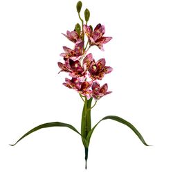 BUQUE-ORQUIDEA-CYMBIDIUM-ROSA-PINK-9-FLORES-2X-48CM-43055RSPK-BELA-FLOR-19267523