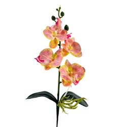 HASTE-ORQUIDEA-PHALAENOPSIS-RAIZ-SALMAO-4-FLORES-39CM-41968SL-BELA-FLOR-19267527
