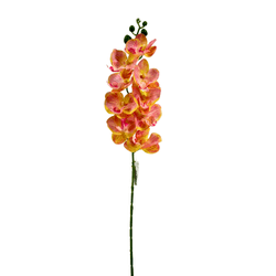 HASTE-ORQUIDEA-PHALAENOPSIS-SALMAO-9-FLORES-58CM-41967SL-BELA-FLOR-19267528