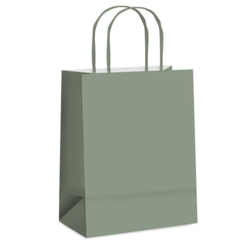 SACOLA-PAPEL-EUCALIPTO-M-26X195X95-14001235-CROMUS-19279571