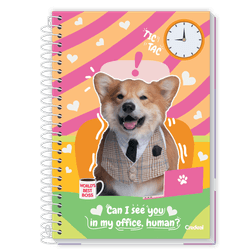 CADERNO-ESP-UNIV-CD-10M-160F-MIMO-273234-CREDEAL-19281638