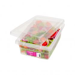 CAIXA-ORGANIZADORA-MULTIUSO-MAX-TRANSPARENTE-2.5L-SR2502-SANREMO-19275014